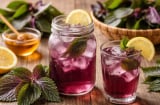 Người mắc 1 trong 5 bệnh này uống nước lá tía vì rất hại