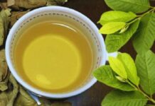 Uống nước lá ổi rất hại với 5 người này: Hãy tránh xa!
