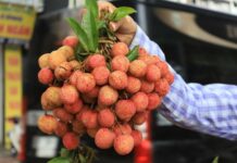 Người mắc 1 trong 5 bệnh này không nên ăn quả vải