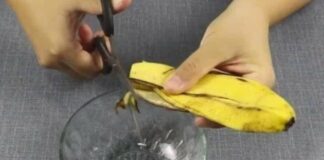 Vỏ chuối trộn với bột giặt, đặt ở góc phòng, sau 1 đêm điều kỳ diệu sẽ xảy ra