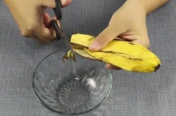 Vỏ chuối trộn với bột giặt, đặt ở góc phòng, sau 1 đêm điều kỳ diệu sẽ xảy ra