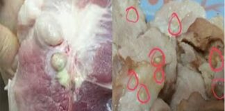 2 bộ phận của lợn chứa rất nhiều tế bào UT: Chớ dại mà ăn