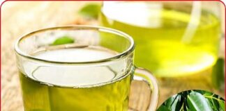 Uống nước lá vối rất hại với những người này, hãy tránh xa!
