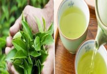 5 loại nước tốt cho thận của bạn: Đặc biệt loại thứ nhất, chẳng mất tiền càng uống càng trường thọ
