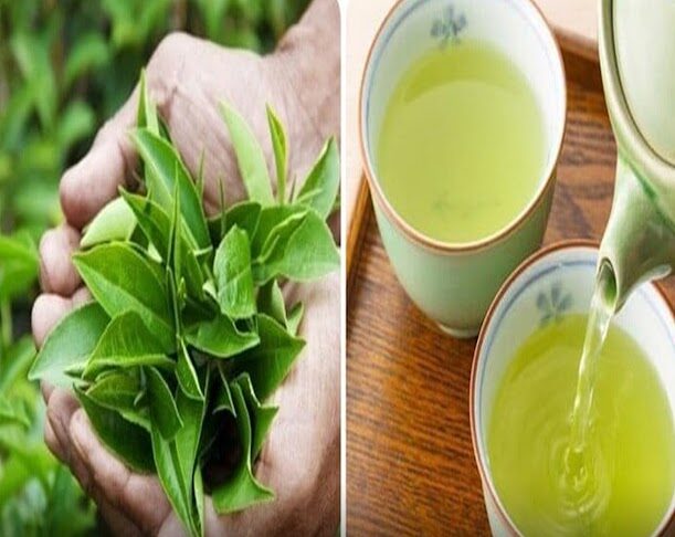 5 loại nước tốt cho thận của bạn: Đặc biệt loại thứ nhất, chẳng mất tiền càng uống càng trường thọ