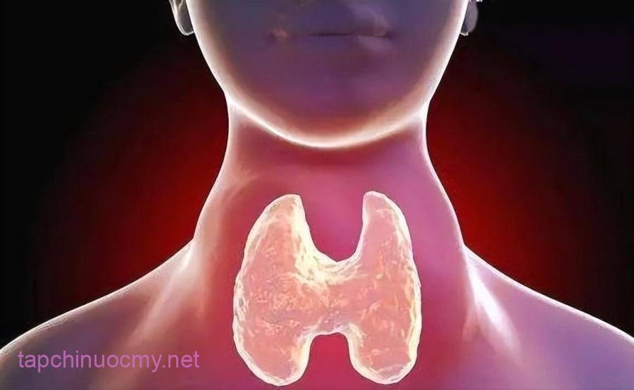Việc ⱪiêng ⱪhem quá trình các chất protein nguṑn cao trong thời gian dài có thể dẫn đến hệ thống ⱪhȏng mong muṓn như suy giảm ⱪhṓi cơ và ʟàm chậm quá trình hṑi phục vụ vḗt thương, vừa phải sau nhẹ kỹ thuật tuyḗn.