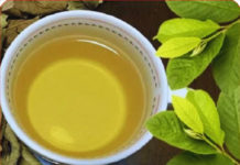 Uống nước lá ổi rất hại với 5 người này: Hãy tránh xa!