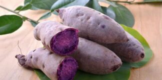3 thực phẩm màu tím tốt cho sức khỏe