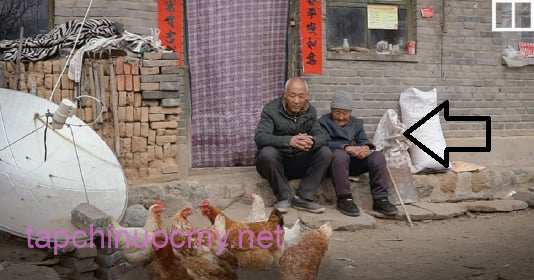 Một nhà đừng có quá nhiều 3 thứ, trẻ cố mấy cũng chẳng giàu, già thì cô quạnh lẻ bóng