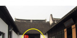 Các cụ bảo: ‘Trước cửa nhà có tam xung thì mất người, mất cả tiền bạc’, ‘tam xung’ là gì?