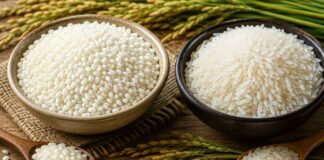 Gạo nếp có giàu dinh dưỡng hơn gạo tẻ không?