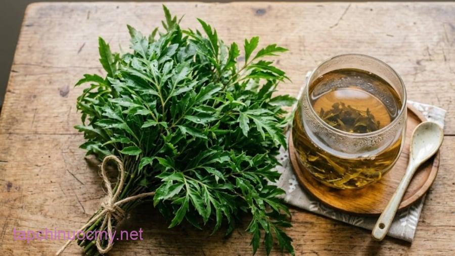 Sử dụng lá đinh lăng một cách hợp lý có thể hỗ trợ cải thiện chất lượng giấc ngủ. 