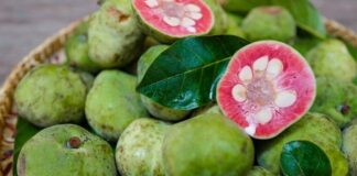 Quả chay và chuối xanh: Thực phẩm tốt cho sức khỏe ít người biết
