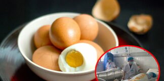 Gia đình 4 người ngộ đ.ộc sau khi ăn bữa tối với trứng gà: Cảnh báo không ăn trứng trong những trường hợp sau